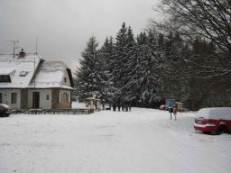 silvestr 2011